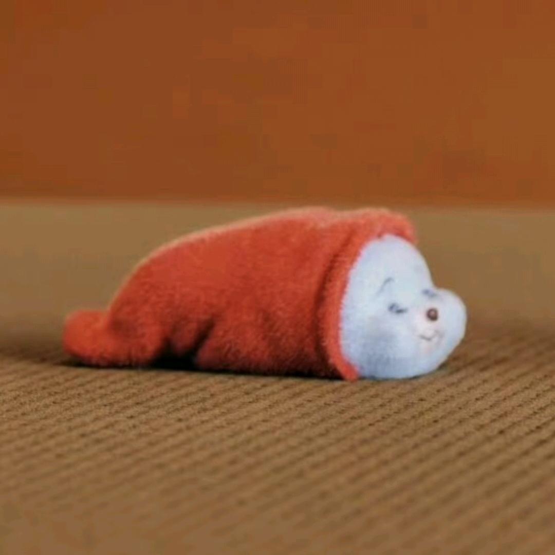 一条猫猫虫🐱🐱🐛