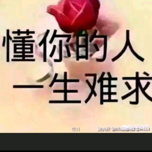 孤独的夜晚