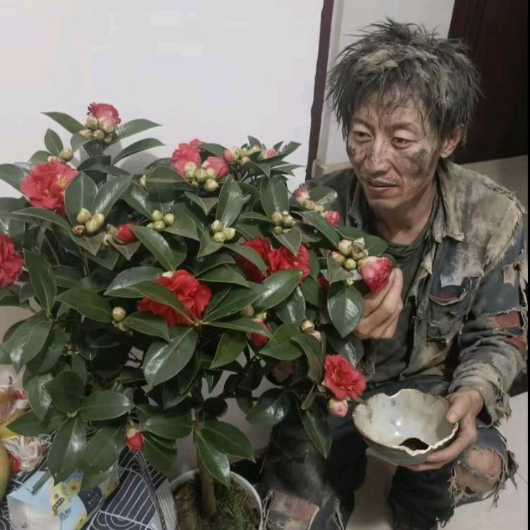 涛锅（杨卤肉）