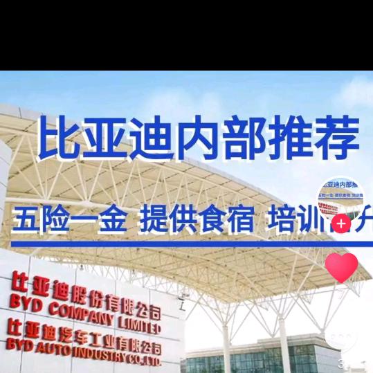小钢哥