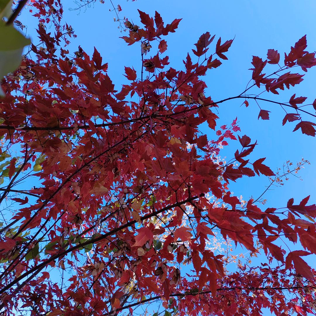 顺🫶心🫶而走