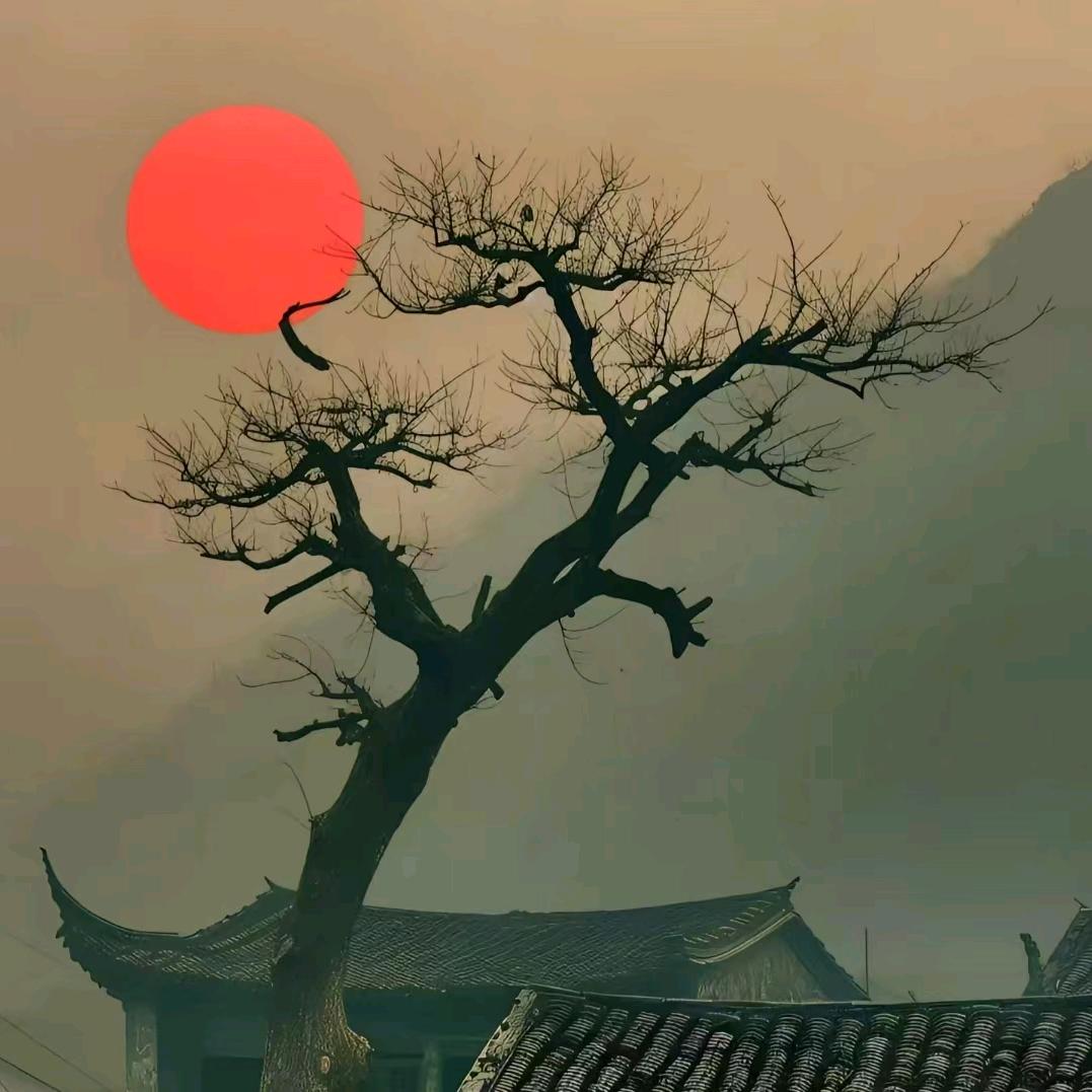无悔