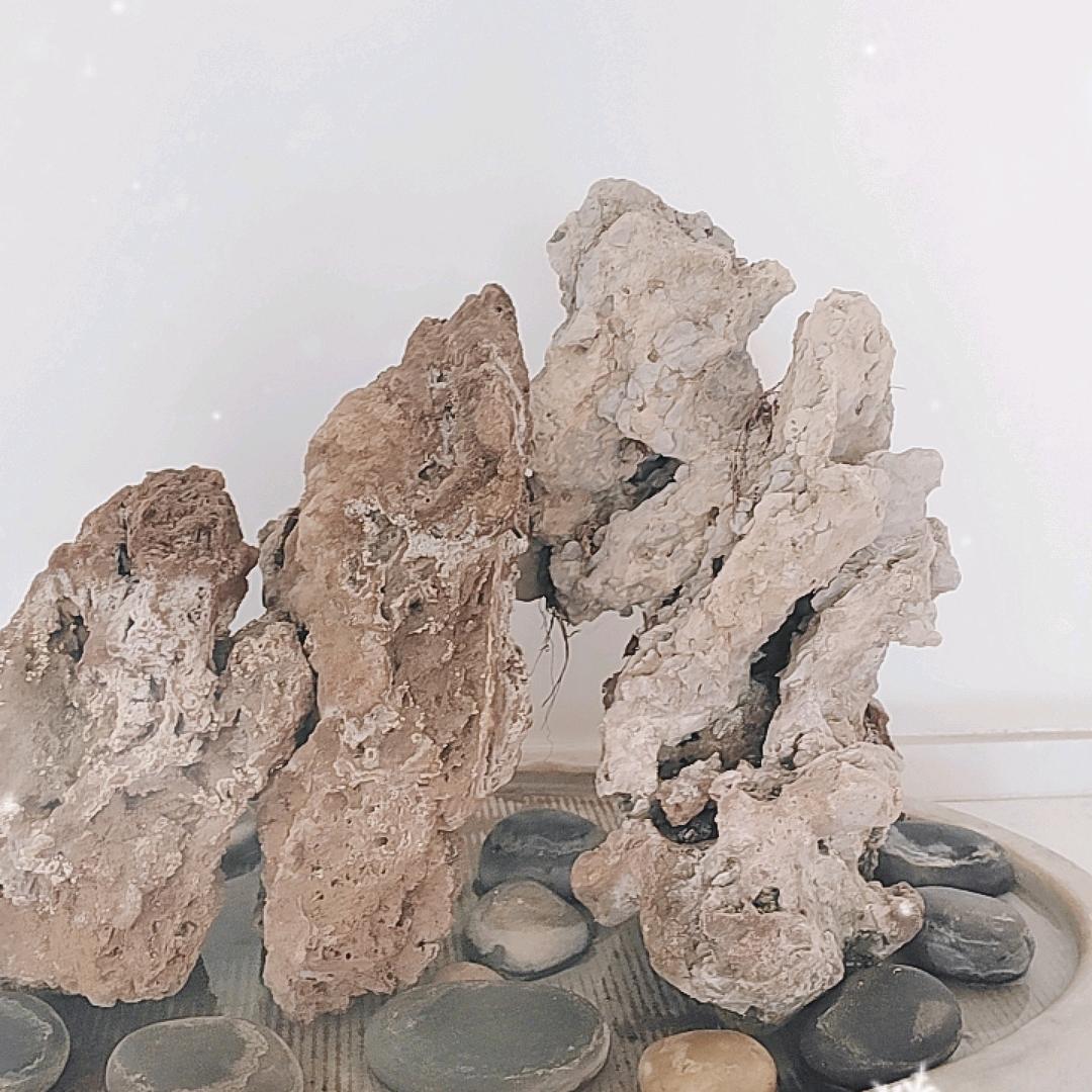 简单完美