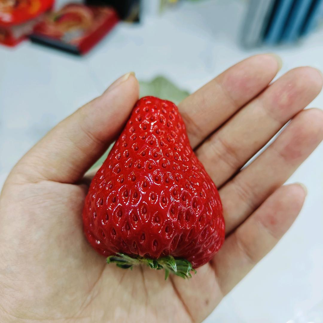 不吃草莓籽😵‍💫