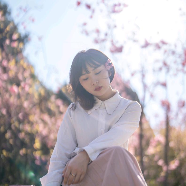 张张摄影器材