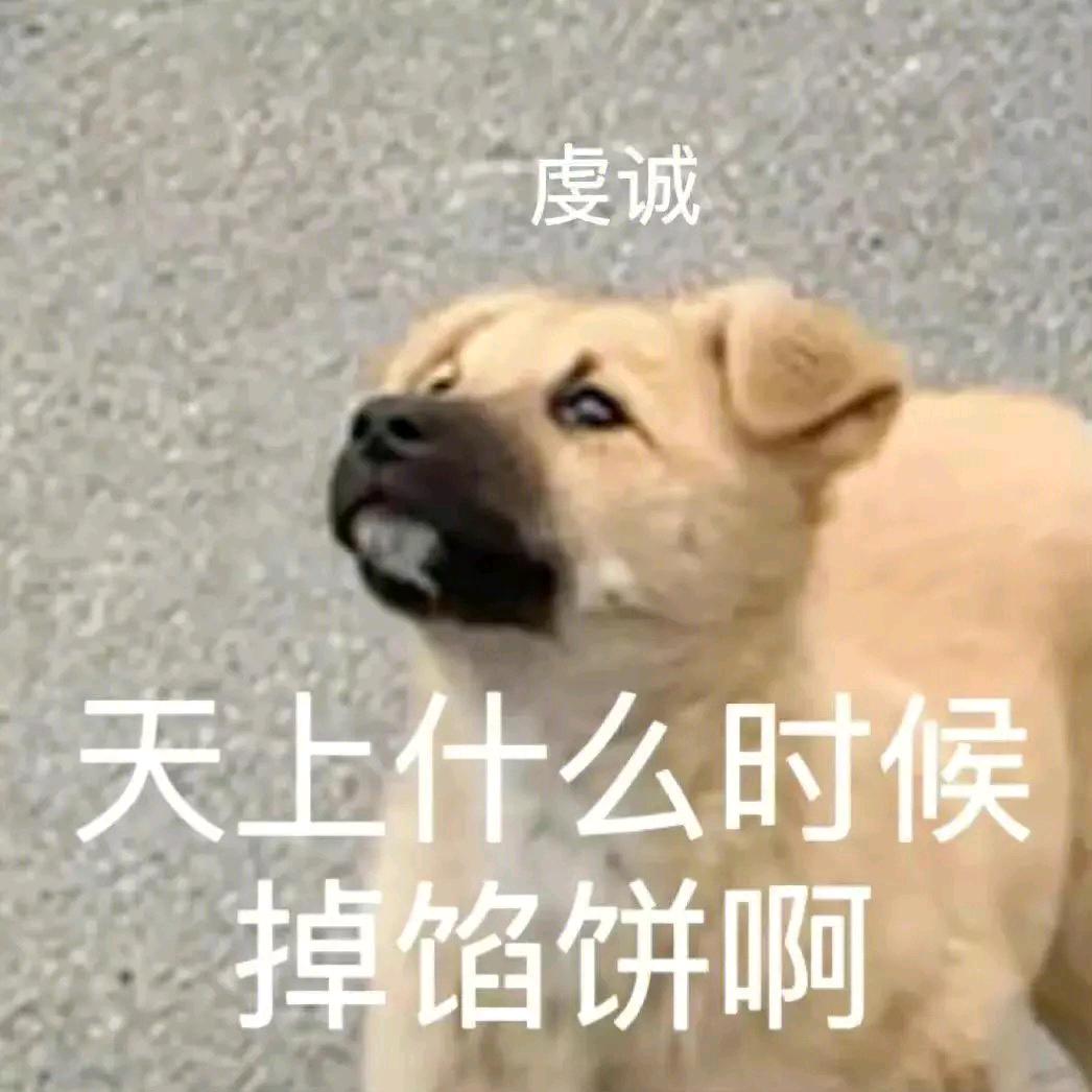 纯坏钳子