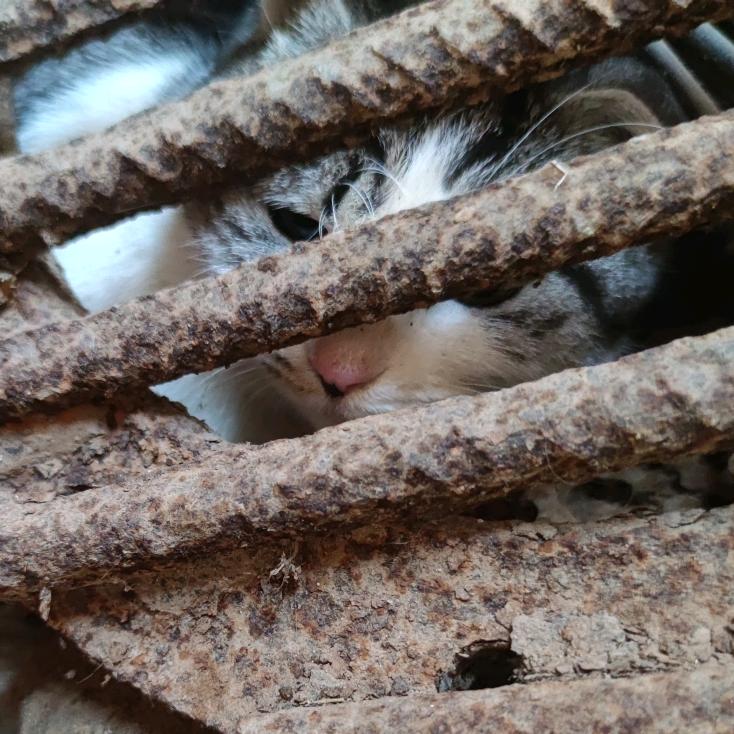 女票来举个栗子