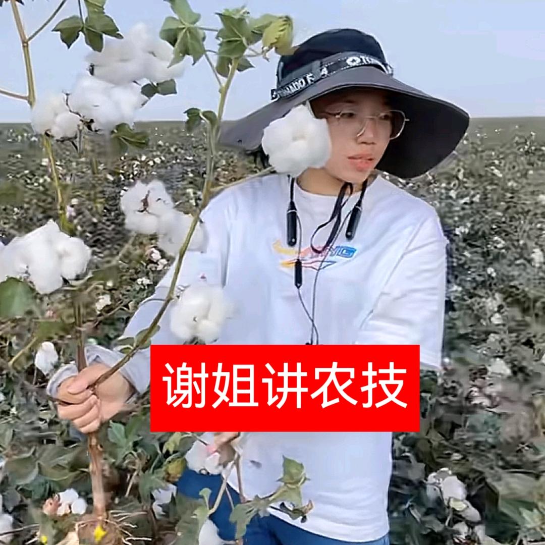 新农人小谢