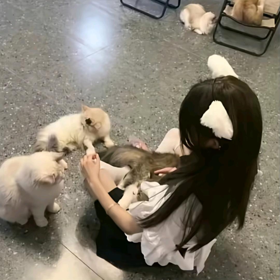 发什么呆