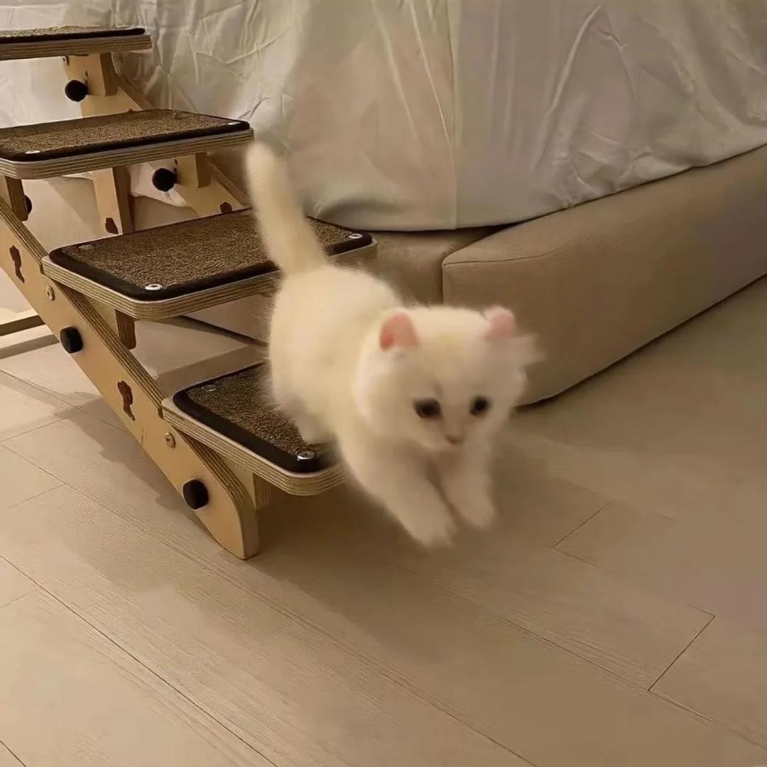 小盈.