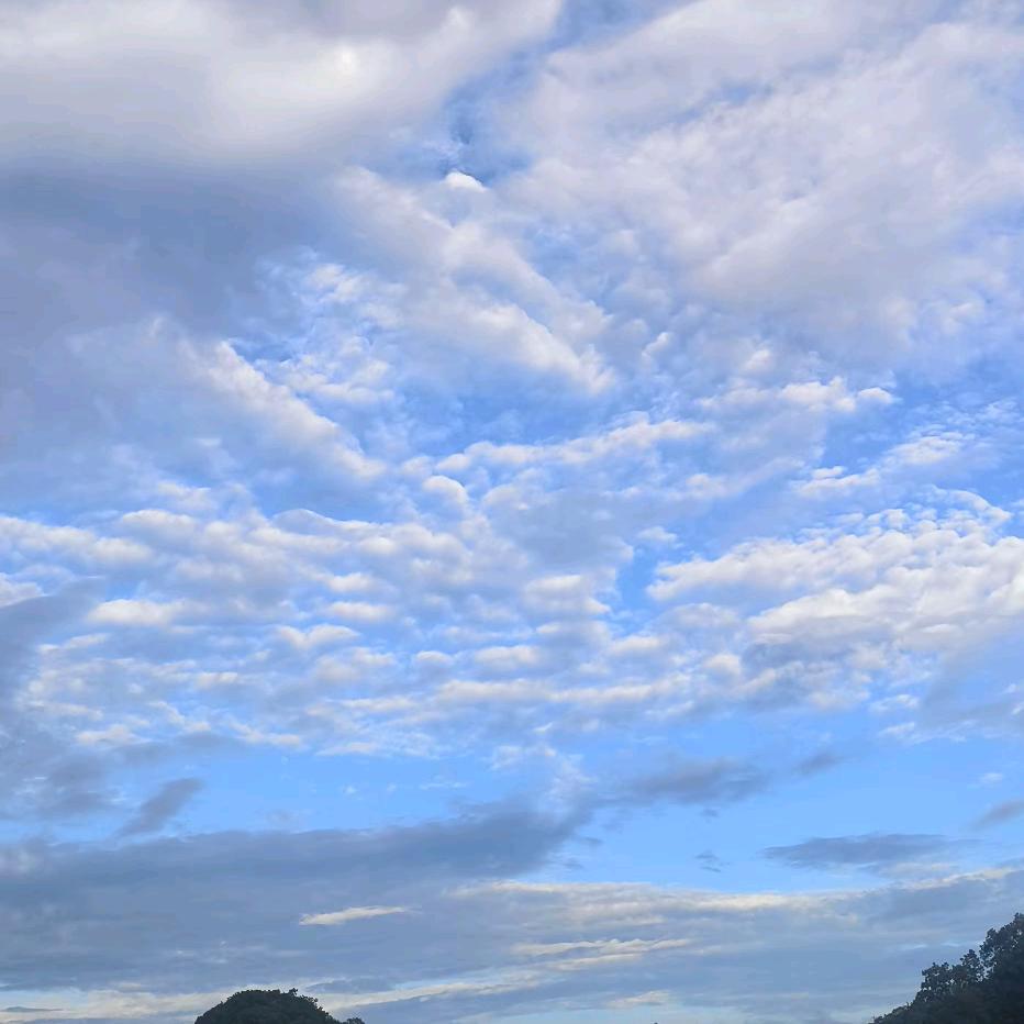 @桃桃