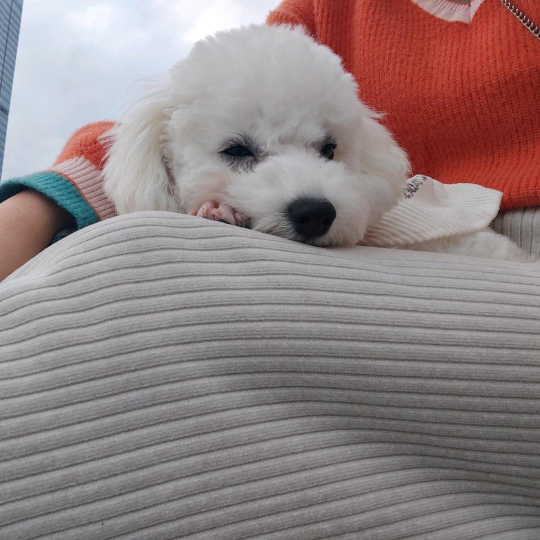 💞࿐姐ღ᭄是限量版᭄💞࿐