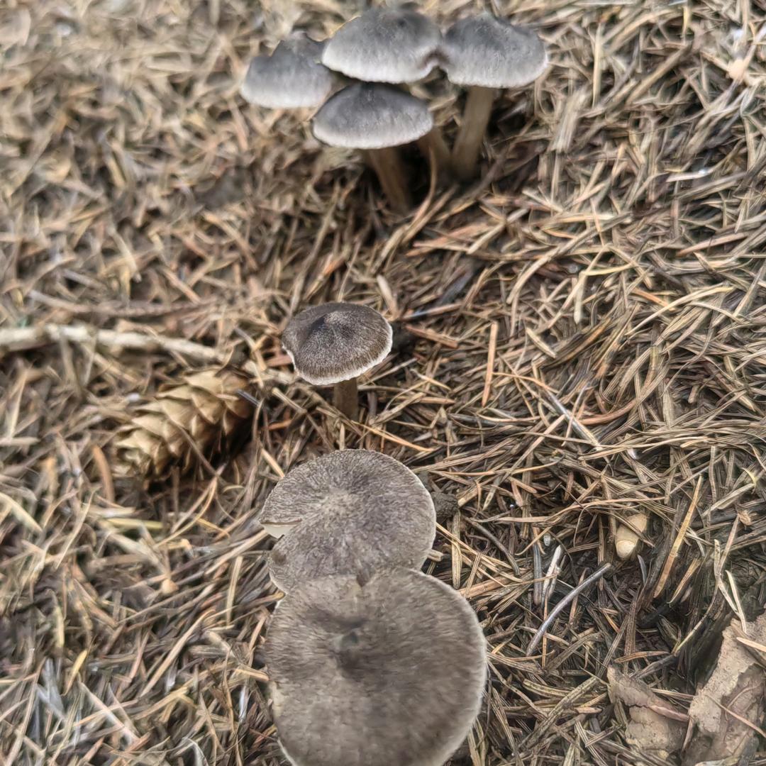 心诚则灵