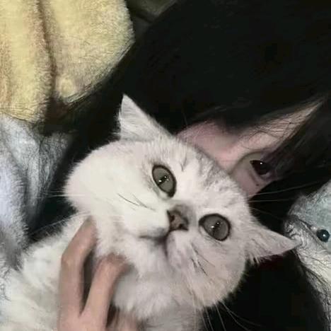 討厭头像