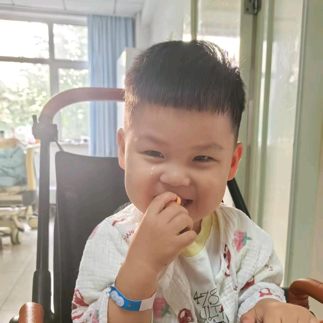 珩珩和他的朋友们