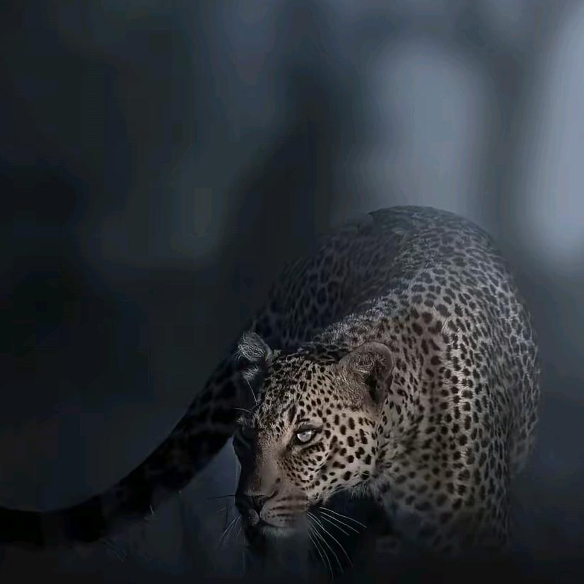 ：11