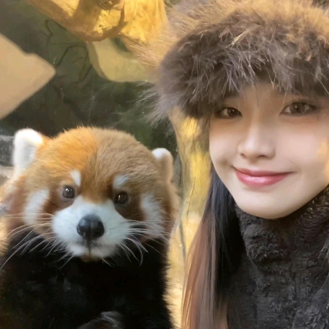 我不吃“皮蛋”