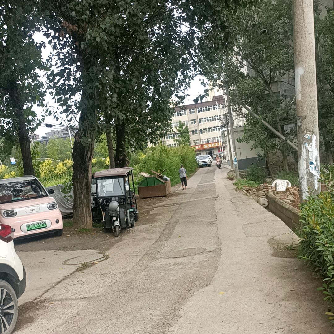 e网情深