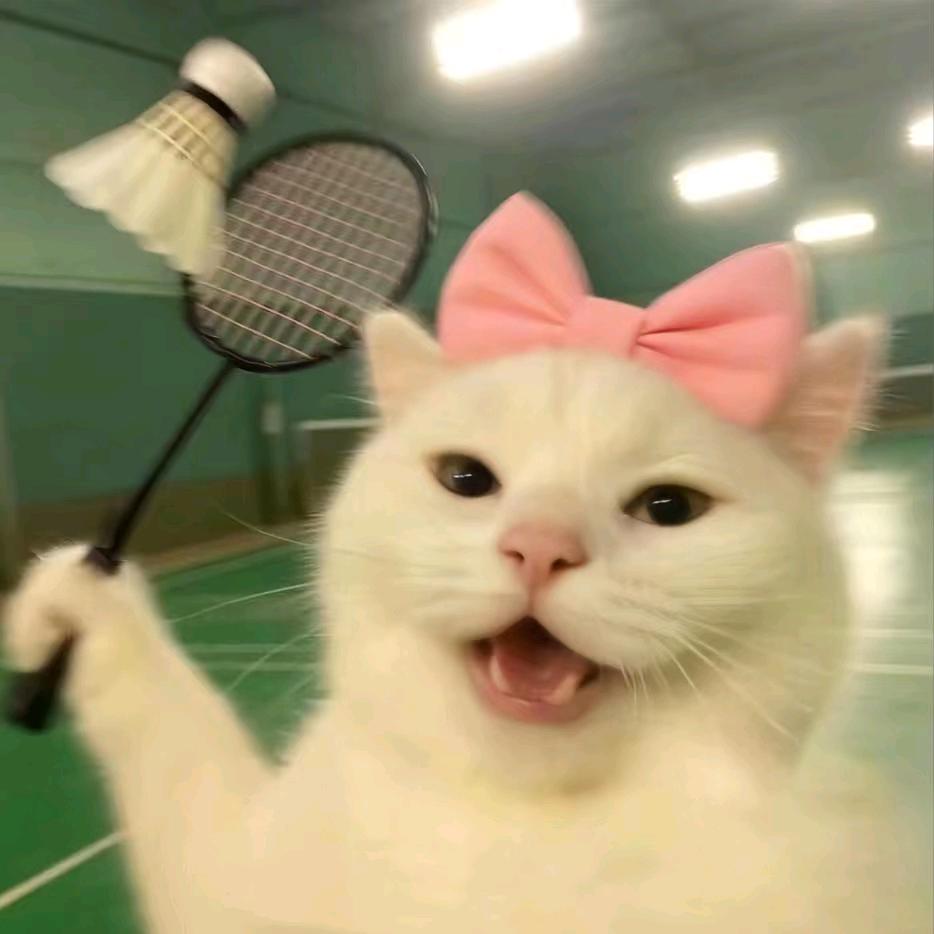 我是温qiō老奶出牌超慢