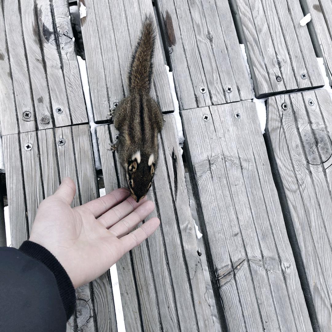 疯狂的纸皮核桃酥