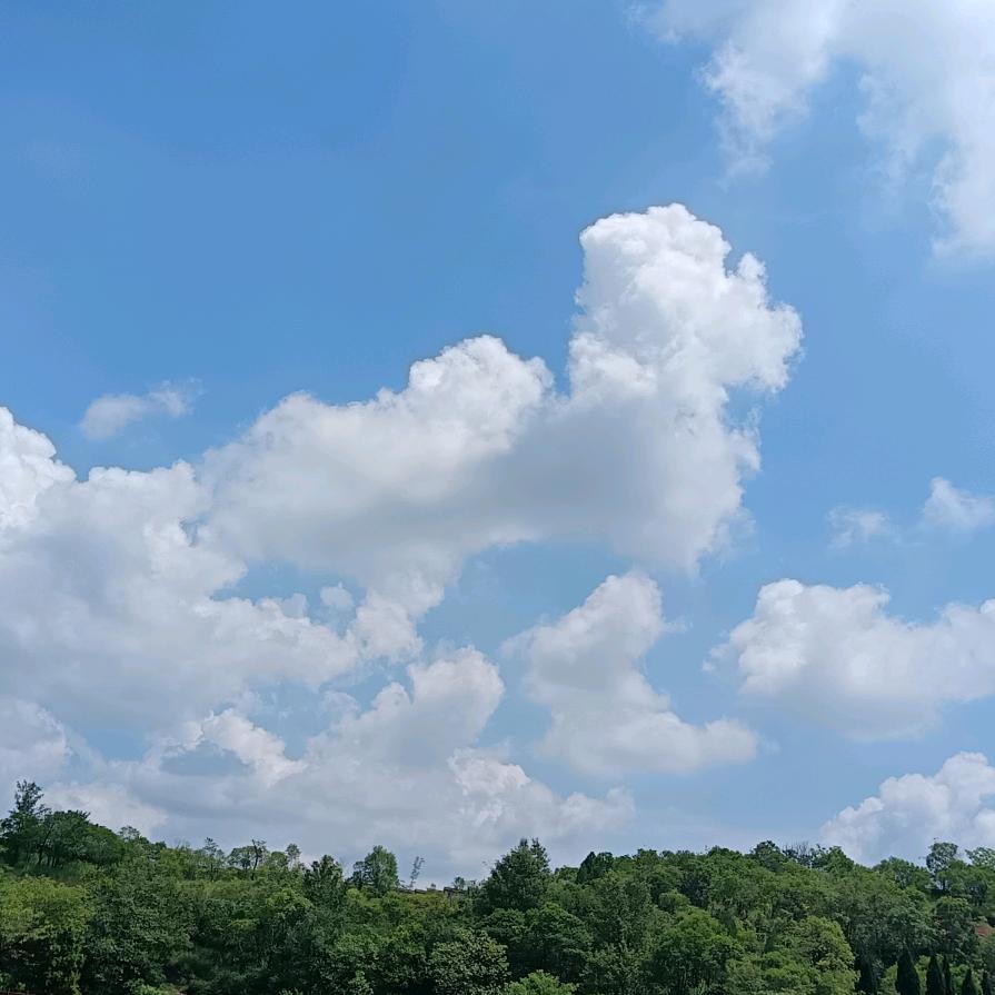 云水禅心