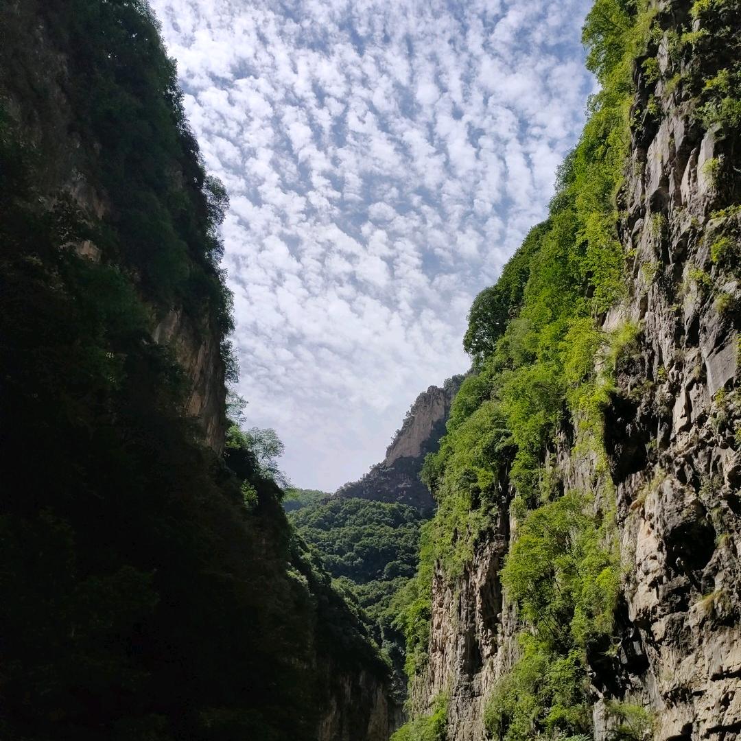 小呆瓜