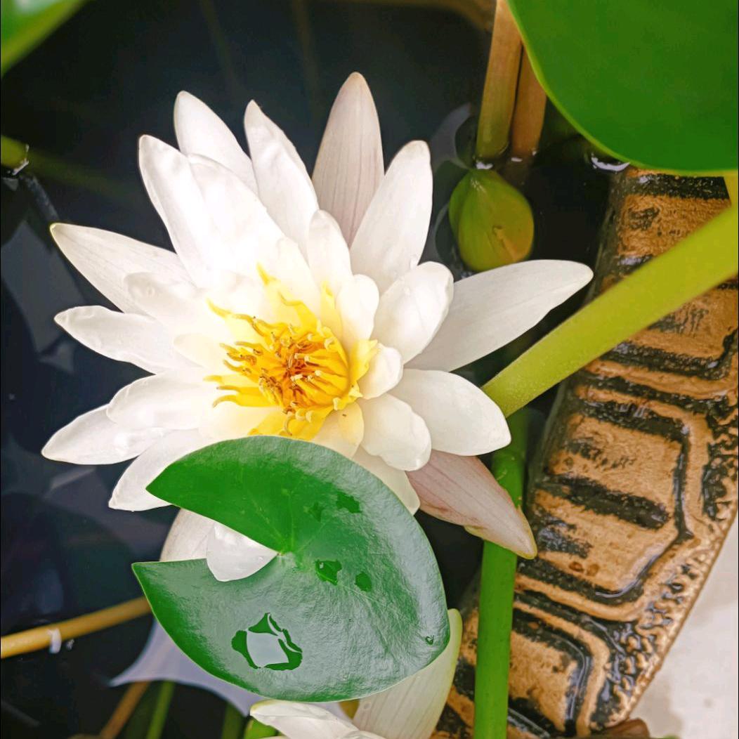 🥀এ᭄终是过客ོ࿐ᩚ