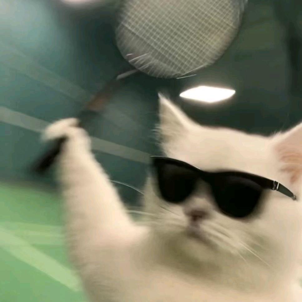 哈基咪大王🏸