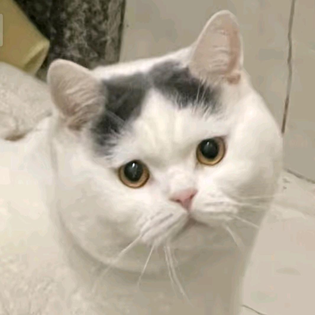 遇