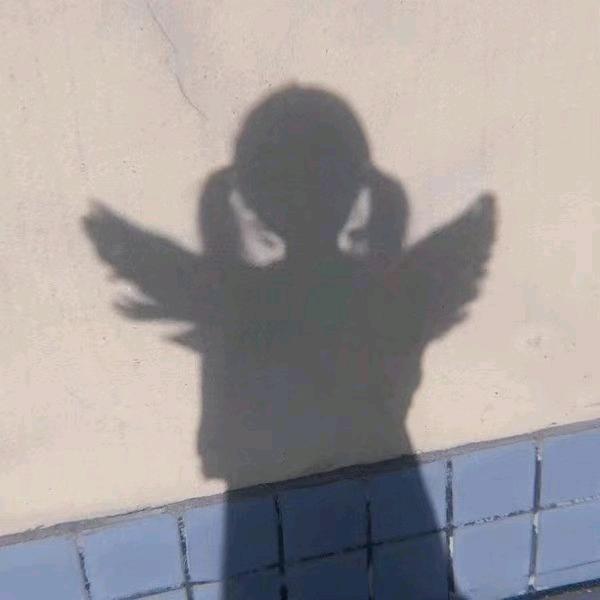 青汤大lawyerrrrrr