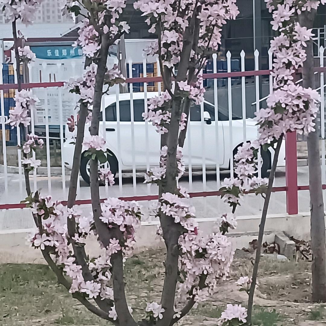 陆月的蛇