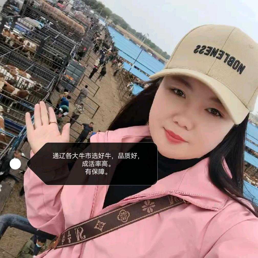 通辽牛经济小马