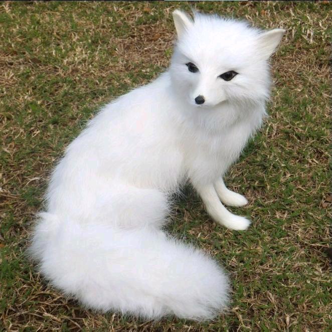 京城李三爷（紫阳宫观主 李崇阳道长）