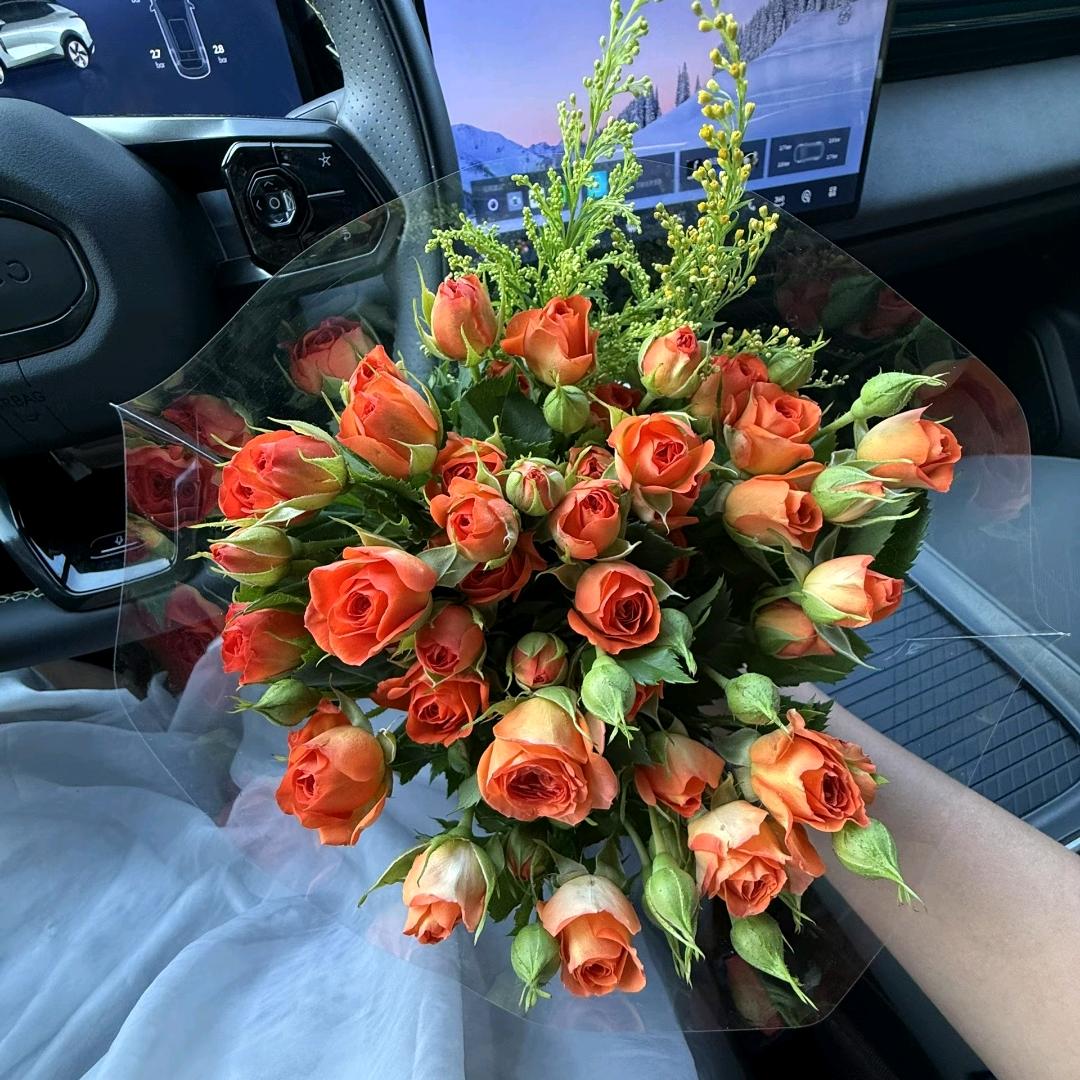 马正科 （我还能上岸吗）