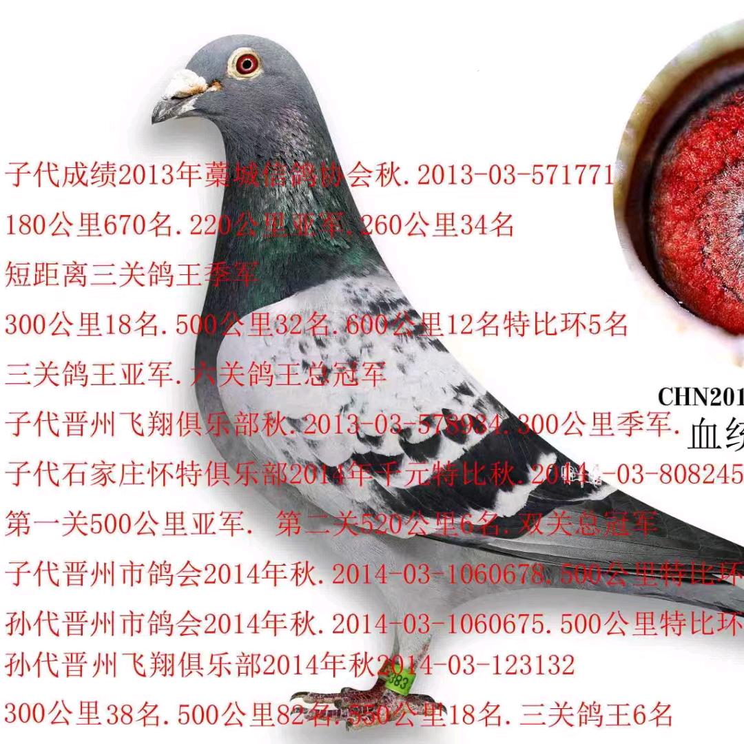 共创辉煌