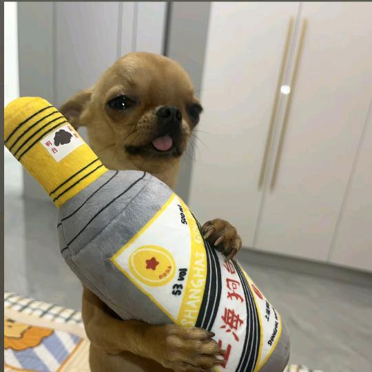 我爱你訥