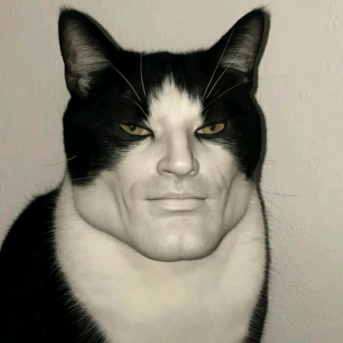 20344113928