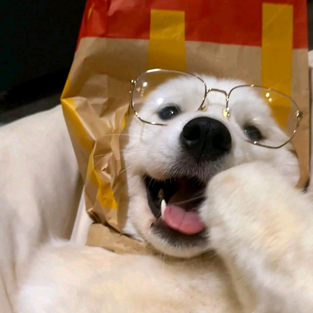 z的六次方