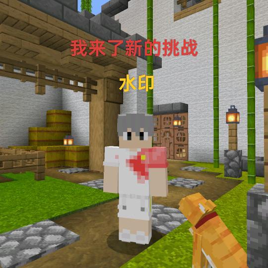 我来了新的挑战