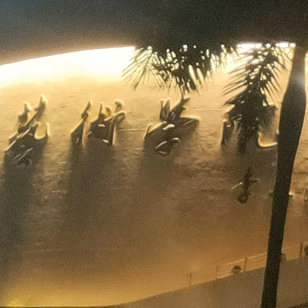 薑寳🐖🐖🐣🐣