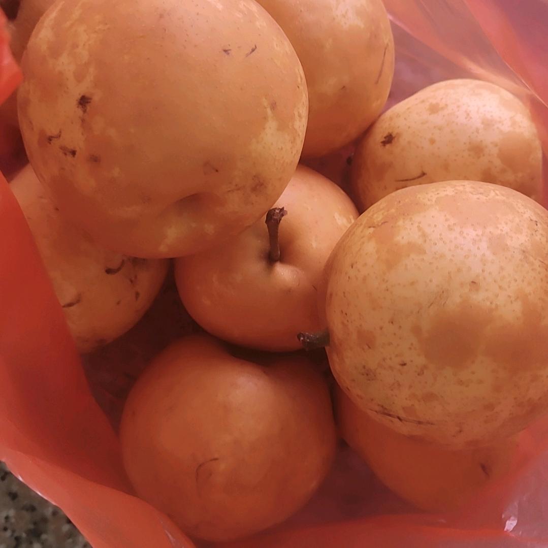 一千零96天