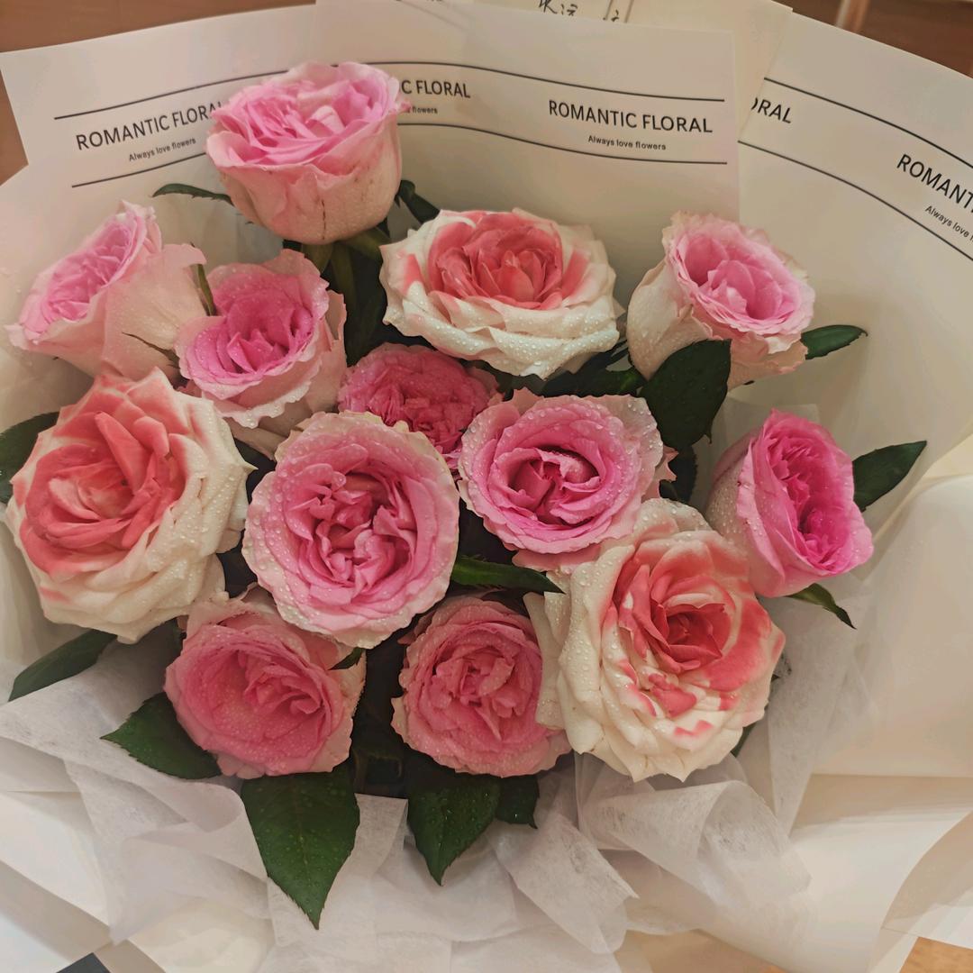 🍧 月揽星河 🌷