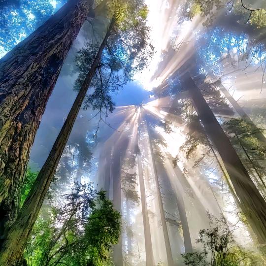 -相逢何必曾相识