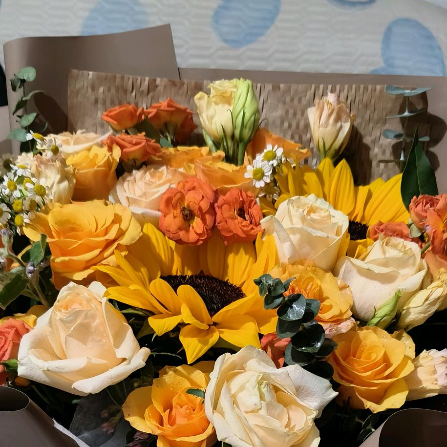 新乐苹果王子童装