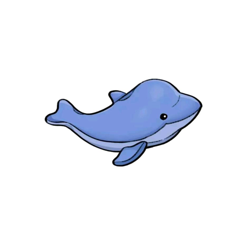 一只会撒娇的鲨鱼