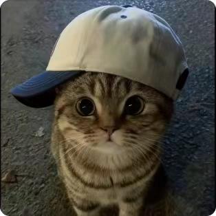 天天开心ˡ