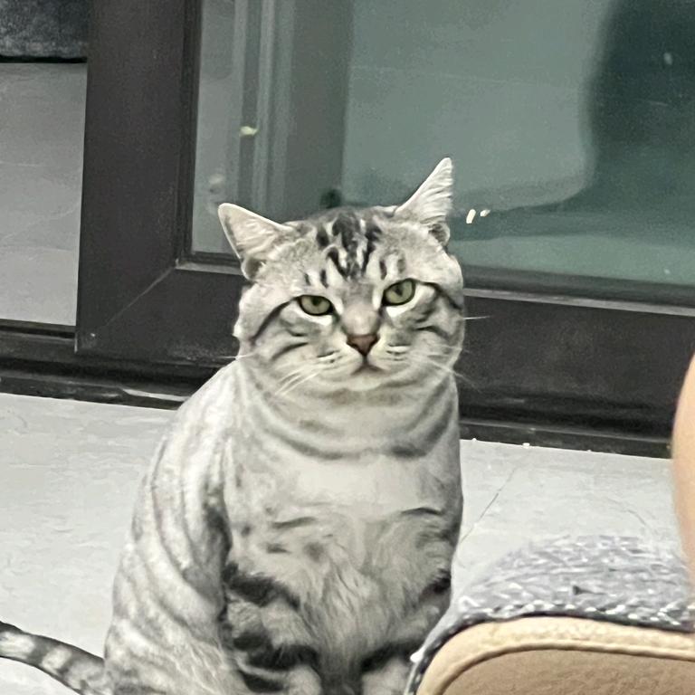 别欢迎我最近手头太紧啦