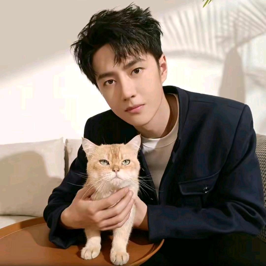 博君一肖🦁🐰