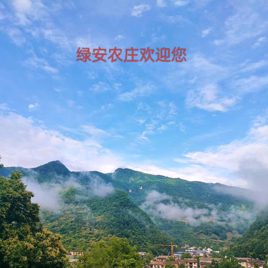 神农架绿安农庄官方号