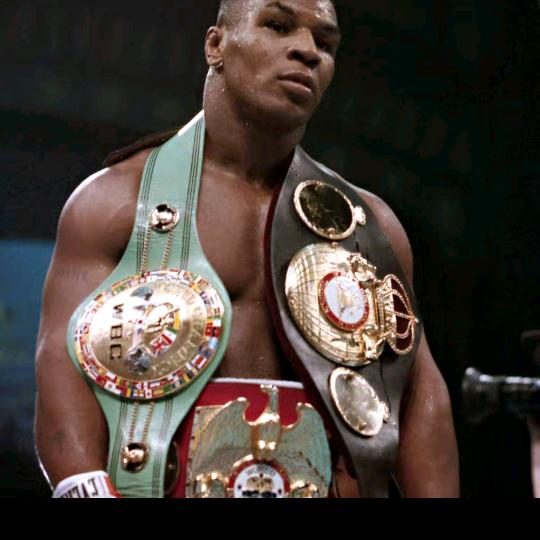 油田战神猎兔犬繁殖犬业